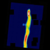 thermal person Object Detection Dataset by project-1yn1q