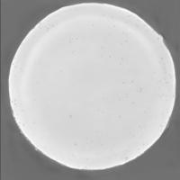 ORNL  with only defects labelled project thumbnail