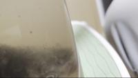 NTU_fishseg 2 project thumbnail