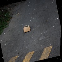 Dataset Image