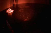 All image project thumbnail