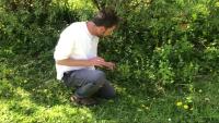 person, hand, plant project thumbnail