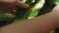 plant2 project thumbnail