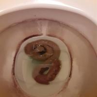GuTelligence StoMy First Project project thumbnail