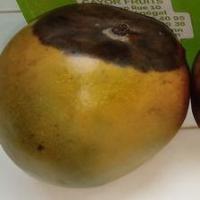 mango-disease-detection-poc project thumbnail