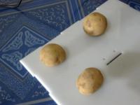 Objeck detection project thumbnail