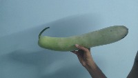 hello project thumbnail