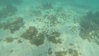 Transect line detection project thumbnail