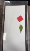 Frame detection_DL Lab mid project thumbnail