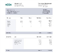 paystub project thumbnail