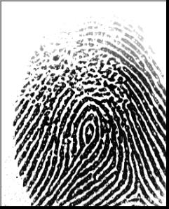 Fingrprint Blood Group Detection Classification Dataset by Project