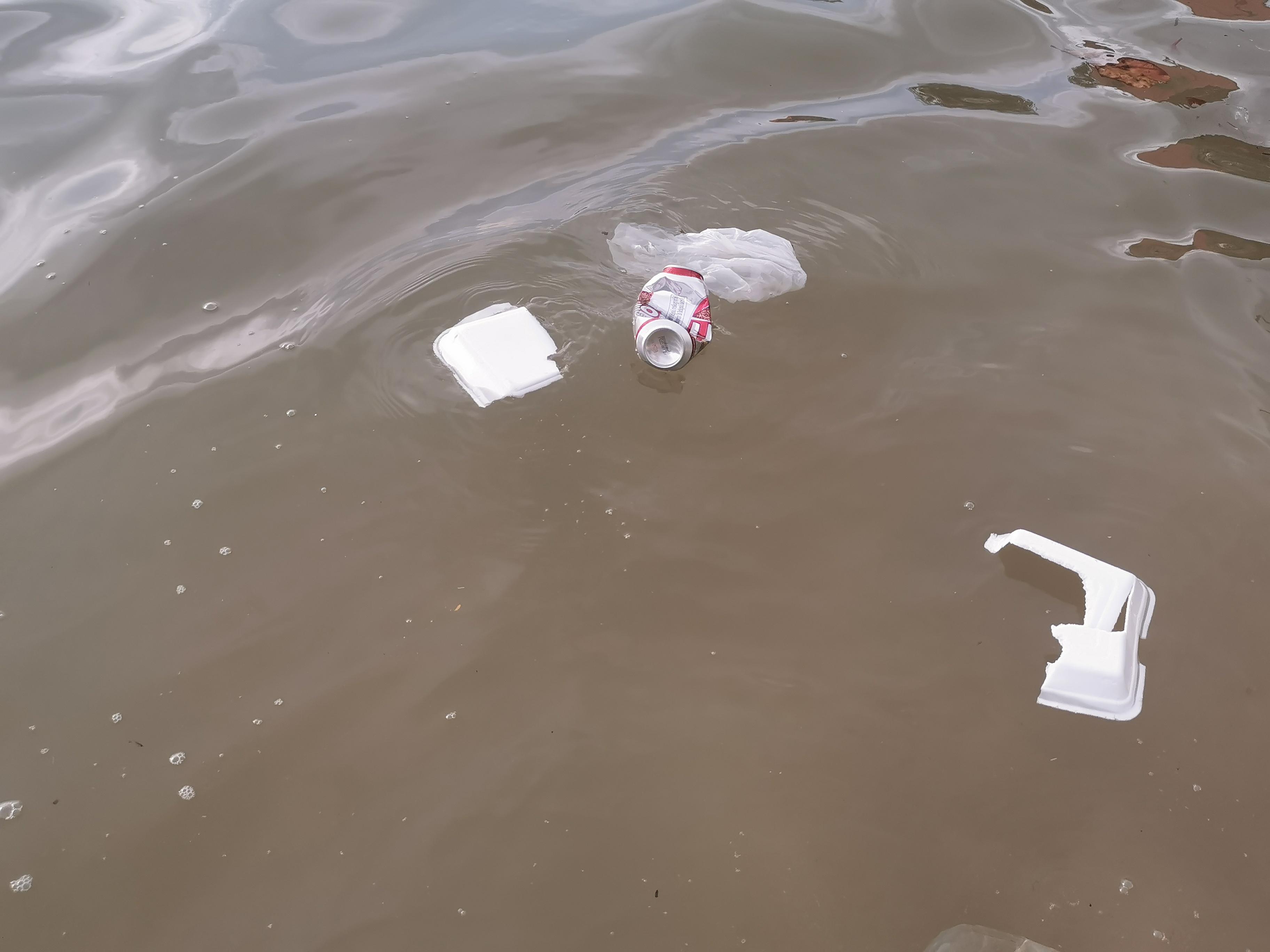 microplastic detector Object Detection Dataset by Sudhanshus Workspace