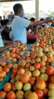 tomato project thumbnail