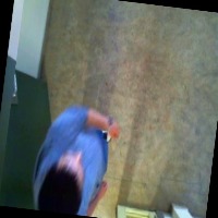 Dataset Image