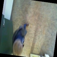 Dataset Image