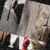 Dataset Image