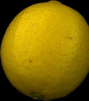 lemon30000 project thumbnail