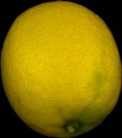 lemon1600 project thumbnail