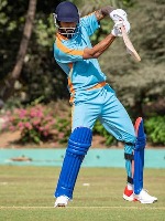 Cricket Bat Dataset project thumbnail