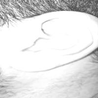 ear_dataset project thumbnail