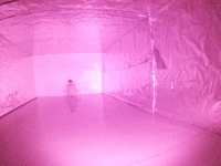 Fyp Dataset project thumbnail