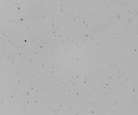 bubbles segmentation project thumbnail