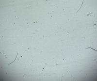 pudumjee-sw-flowcell-4x project thumbnail