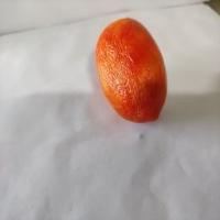 tomato dataset project thumbnail