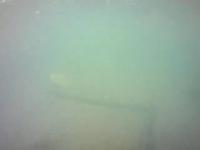 deniz_boru2 project thumbnail