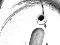 STM560_CAM01 project thumbnail