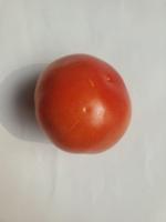 tomatoes-detection-v2 project thumbnail
