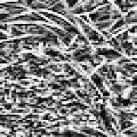 Multi_crop 2333march9 project thumbnail