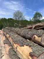 Log defects project thumbnail