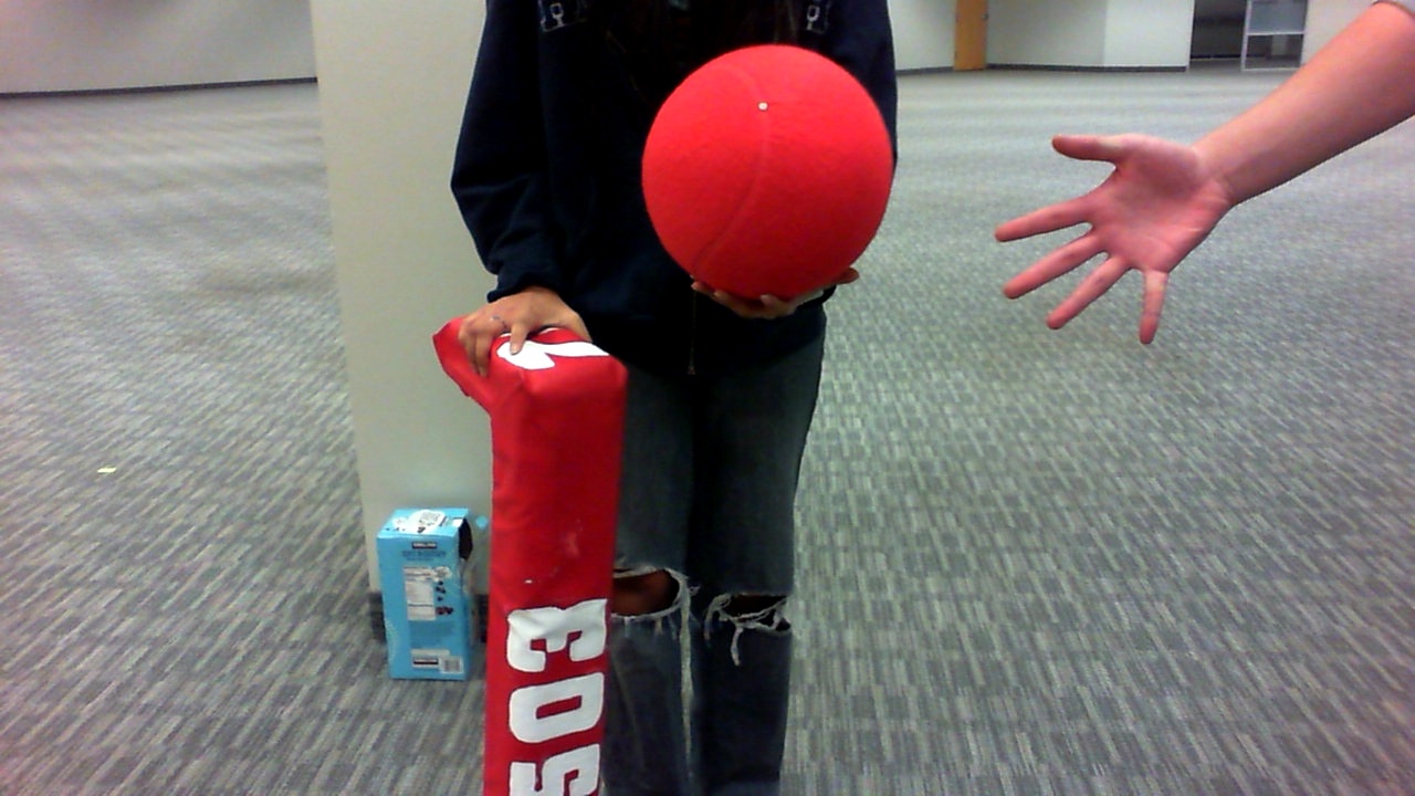 FRC ball detection Object Detection Dataset and Pre-Trained Model by ...