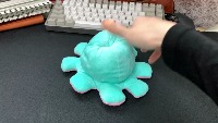 Dataset Image