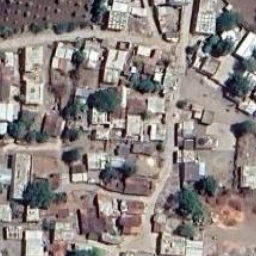 tree detection Object Detection Dataset by Farm Detection