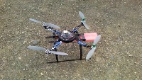 Dataset Image