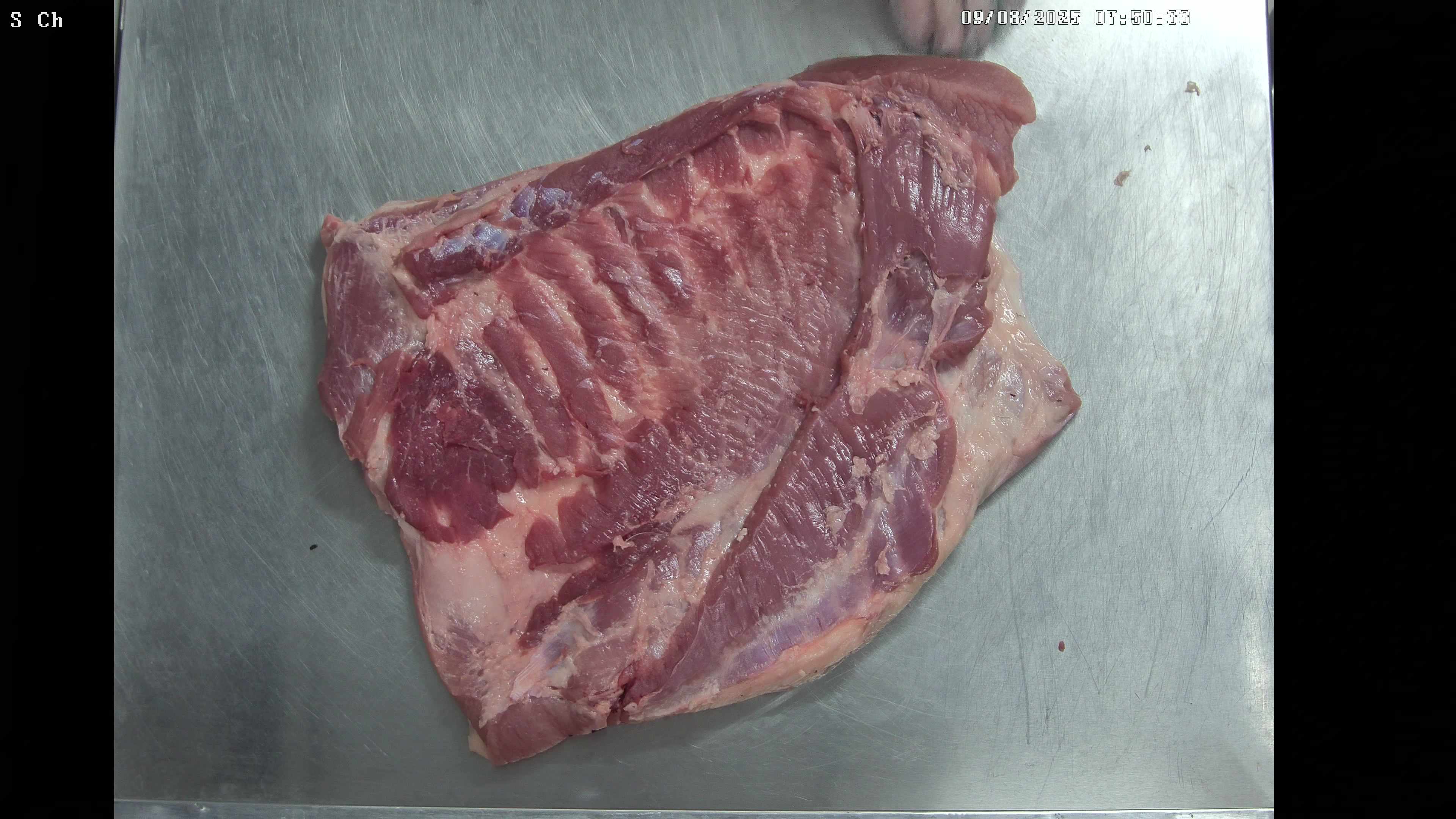 Meat Object Raw meat Object Detection Model by ttt