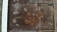 Cattle Feedlot Drone project thumbnail