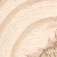 Tree Rings Segmentation project thumbnail
