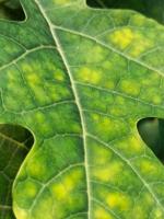 RingSpot_last project thumbnail