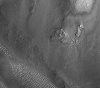 Detection project thumbnail