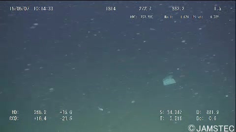 plastic Object Detection Dataset by buzziness