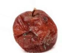 apple_data project thumbnail