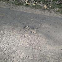potholes detection project thumbnail