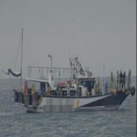 oil detection project thumbnail