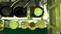 Egg detection project thumbnail