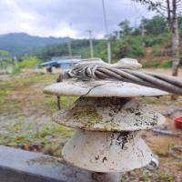 insulator and insulator binding project thumbnail