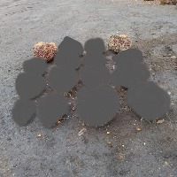 3 Class Cleansed project thumbnail