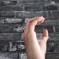 Hand Detection Object Detection Dataset by Muthu Palaniyappan OL
